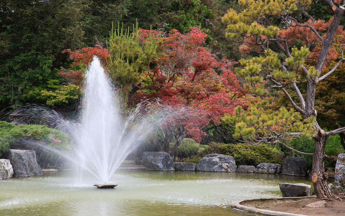 Japanese Garden (+repost)
