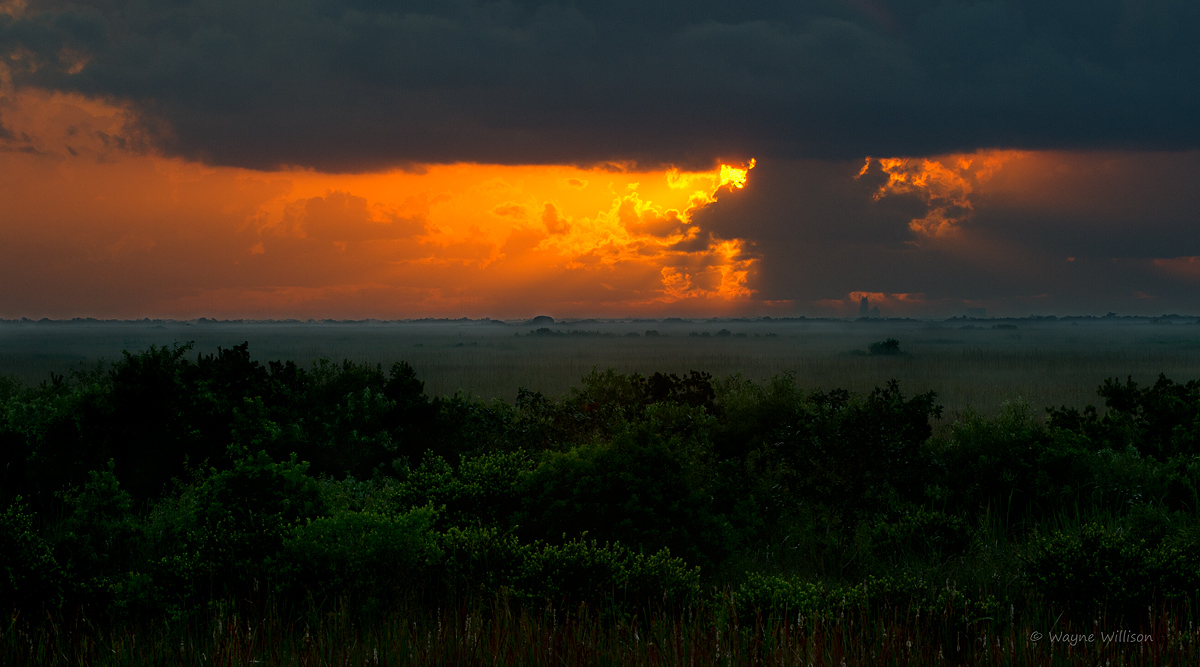 Everglades Sky