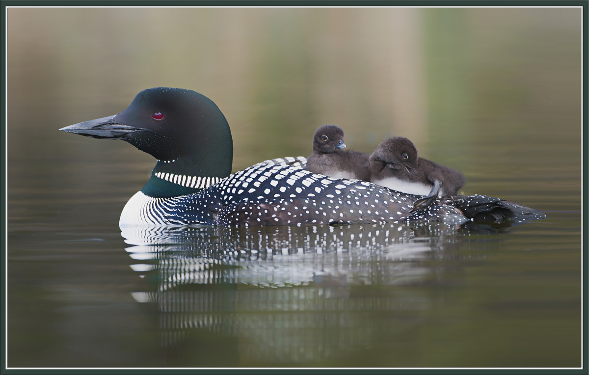 Hitching a Ride