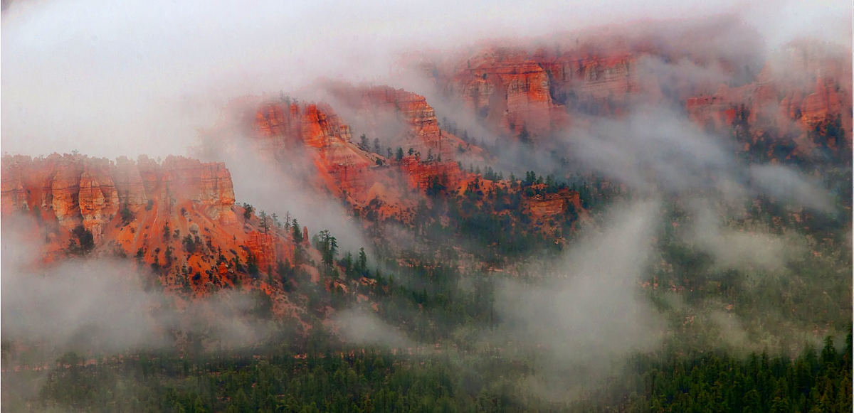 Clouds in the Canyon