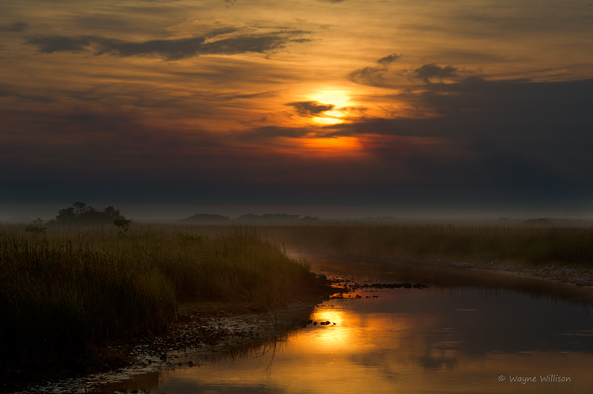 Glades Morning
