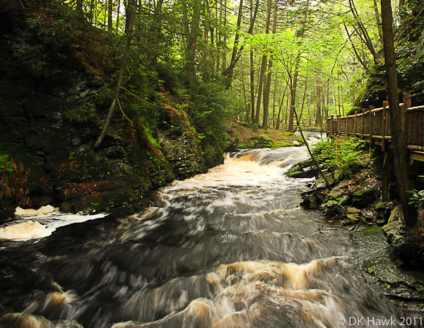 Raging River