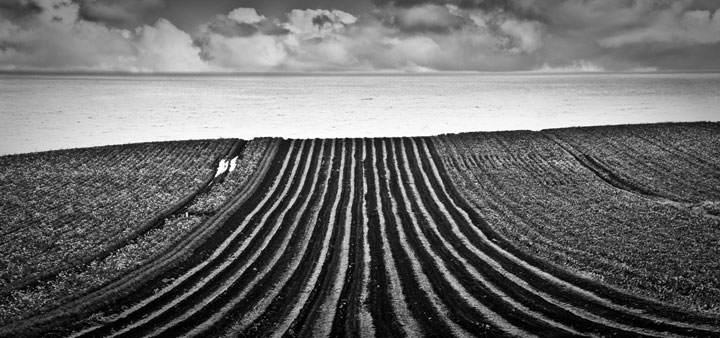 Cultivation