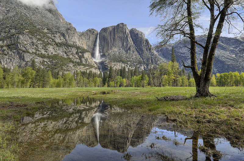 Yosemite Falls Reflected