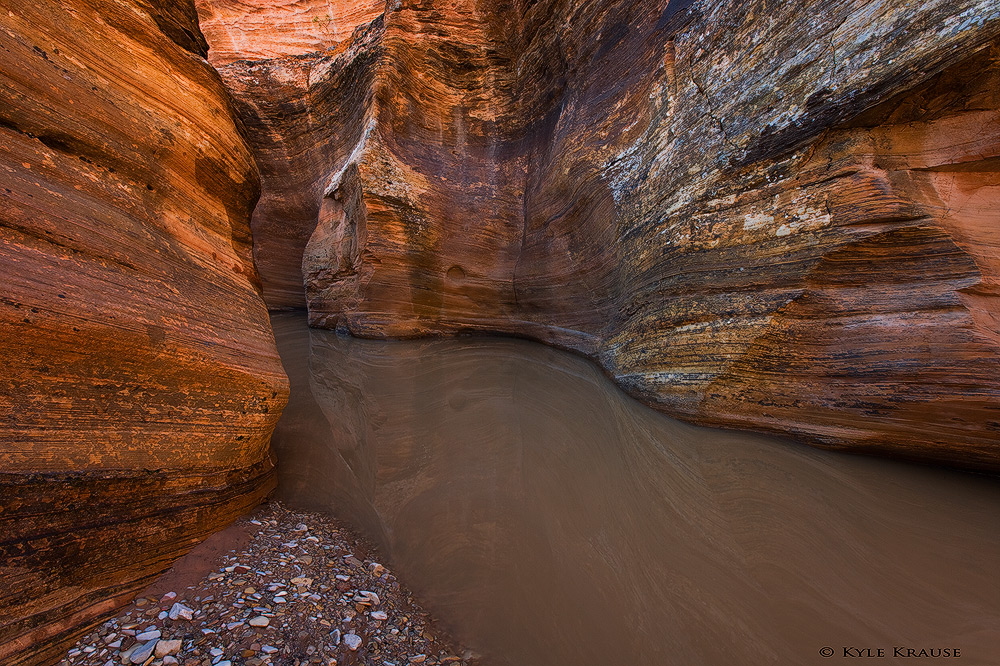 Zion's reflections