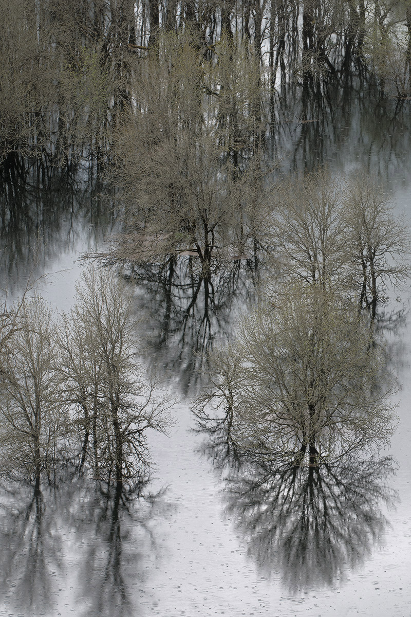 Silver Drops