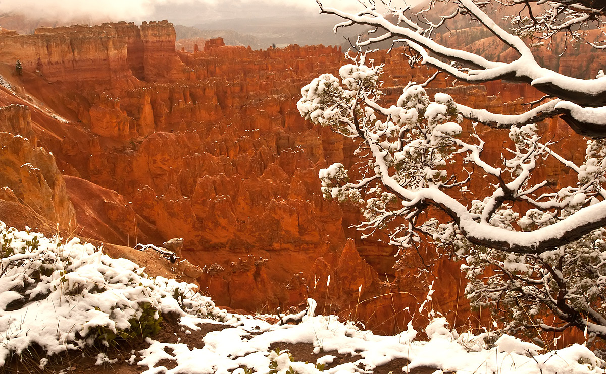 Bryce Another Shot