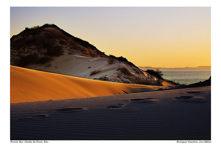 Dunas Sonora Desert