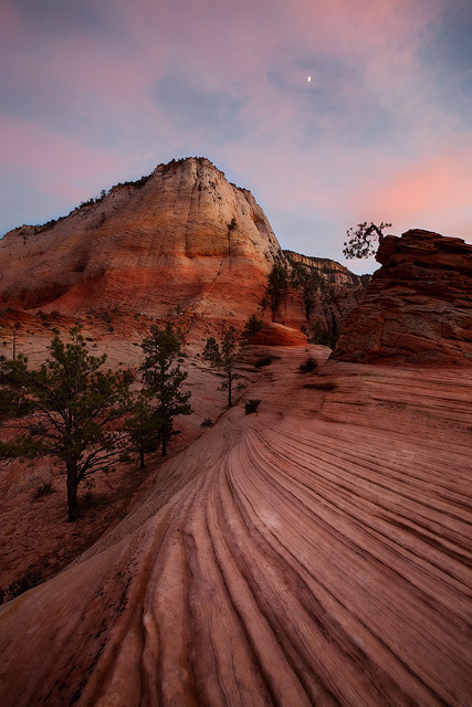 Zion Twilight