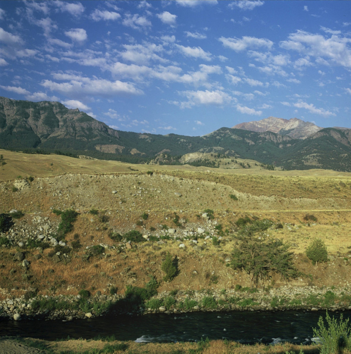 Gardiner, Montana