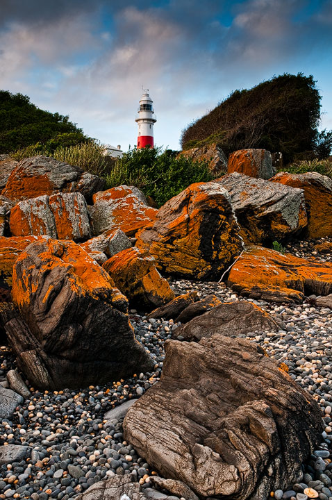 Lichen & Lighthouse