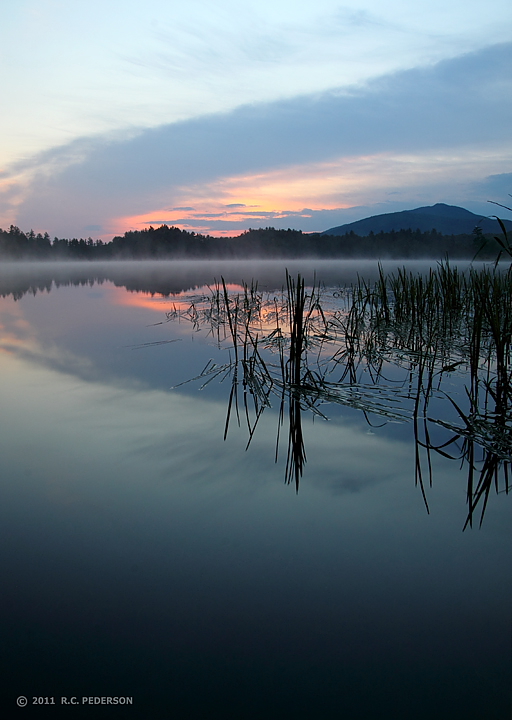 Blush of Dawn
