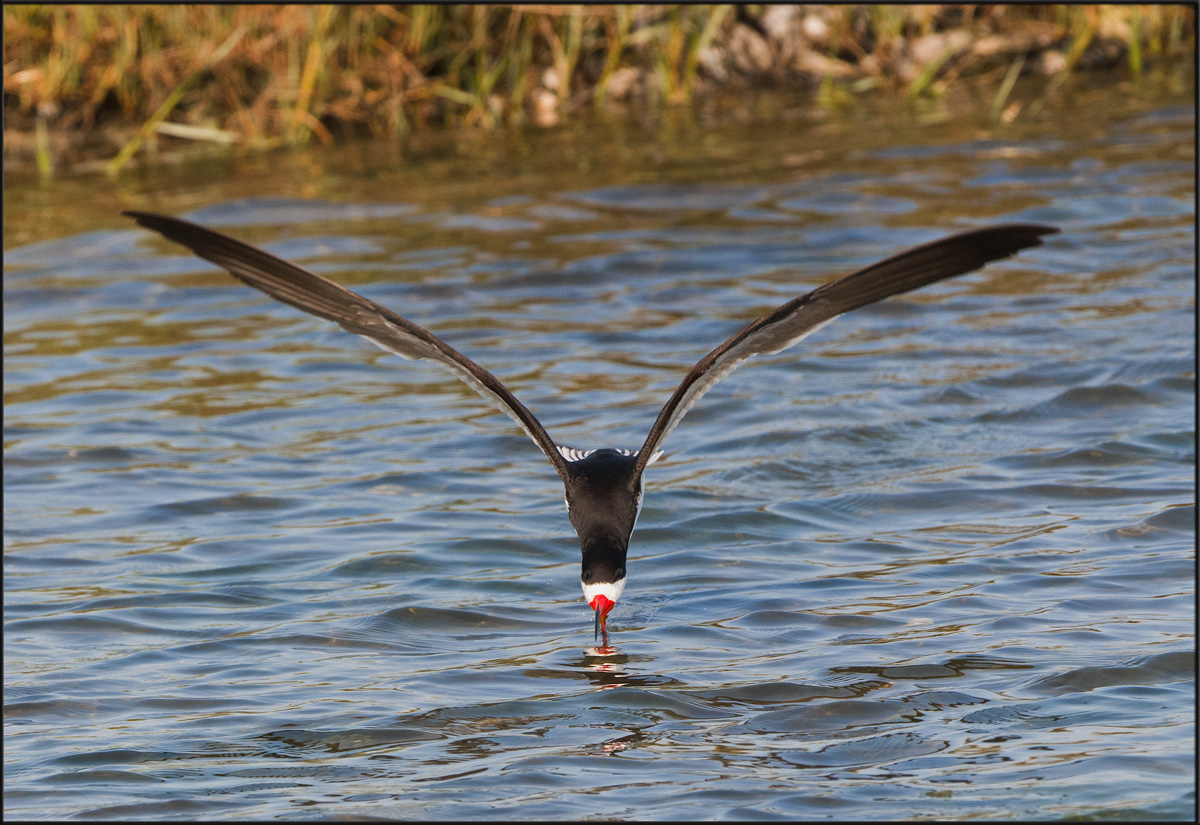 Skimming