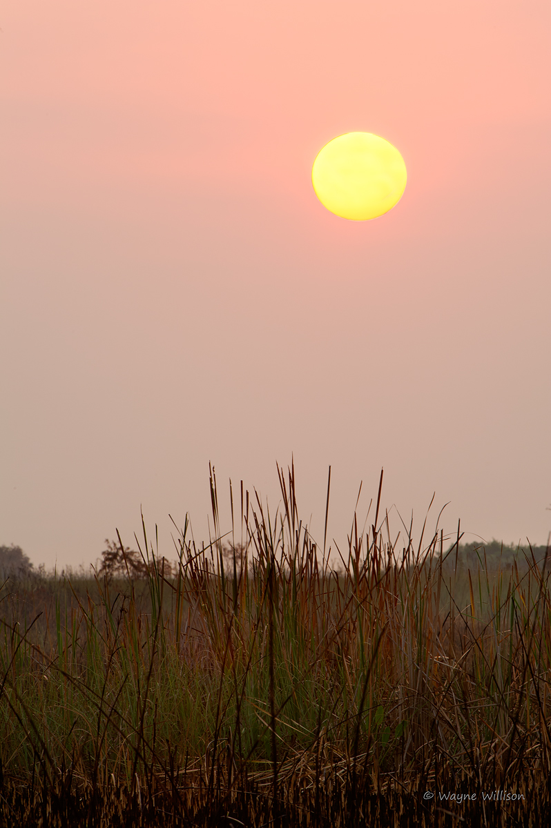 Glades Sun