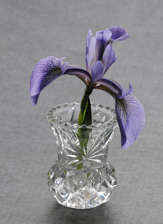 Miniatures #1