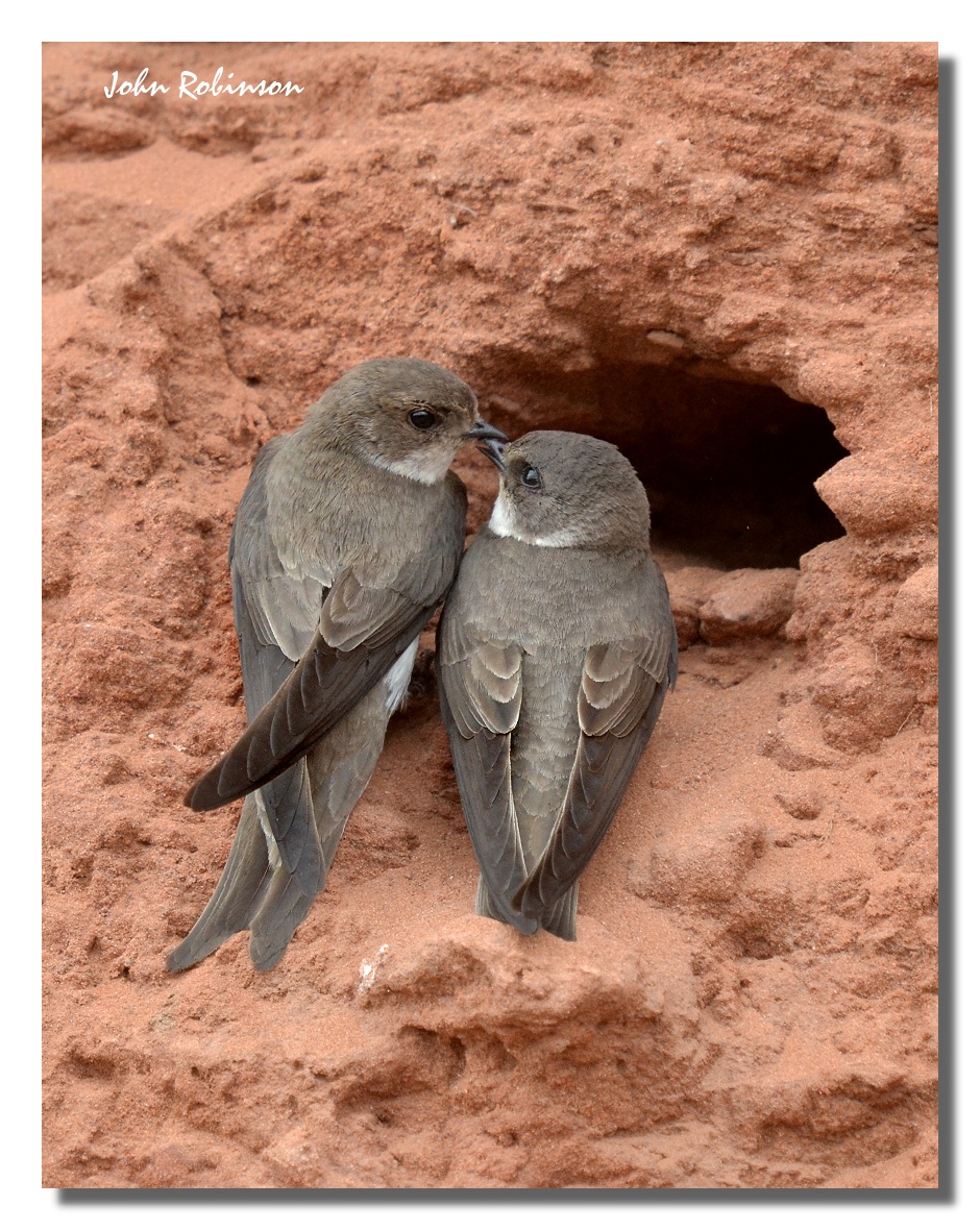 Tender Moment ?