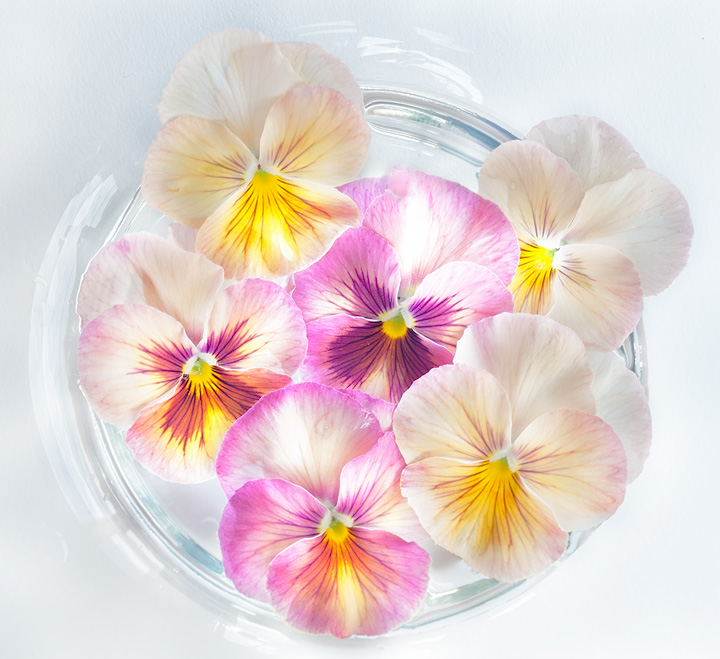 Pansies in a Bowl