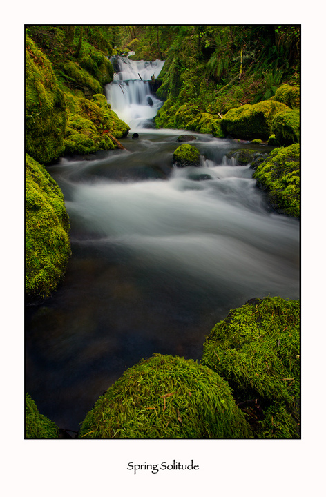 Spring Solitude with re-post
