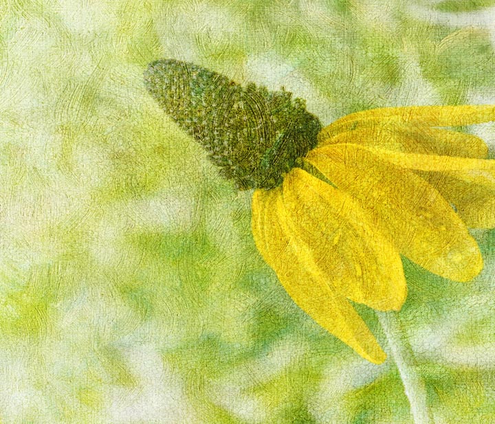 Reaching for the Sun