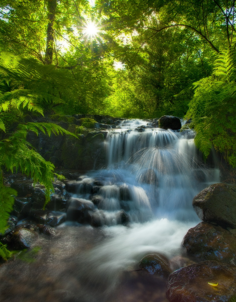 Coopey Creek Cascade