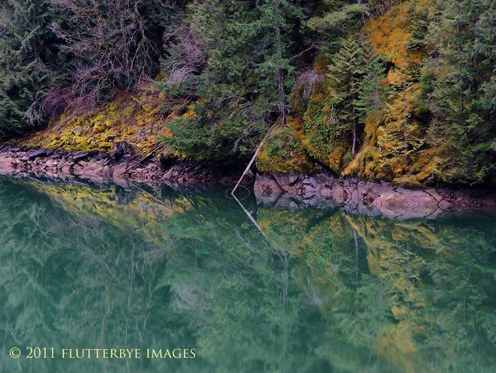 Skagit River Reflections+repost