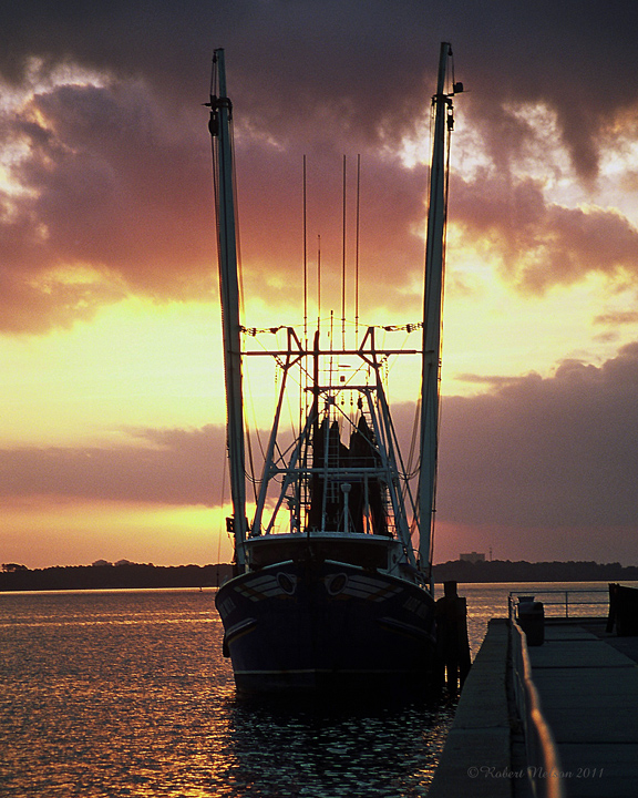 Panama City Shrimper
