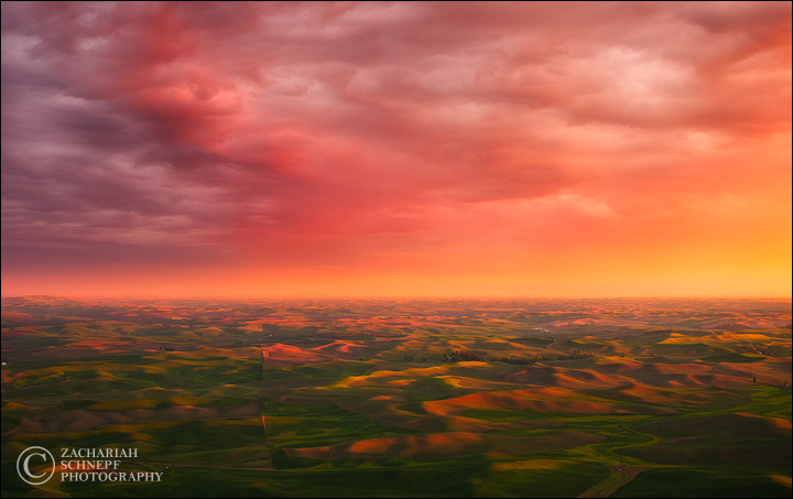 Red Sky Over the Palouse