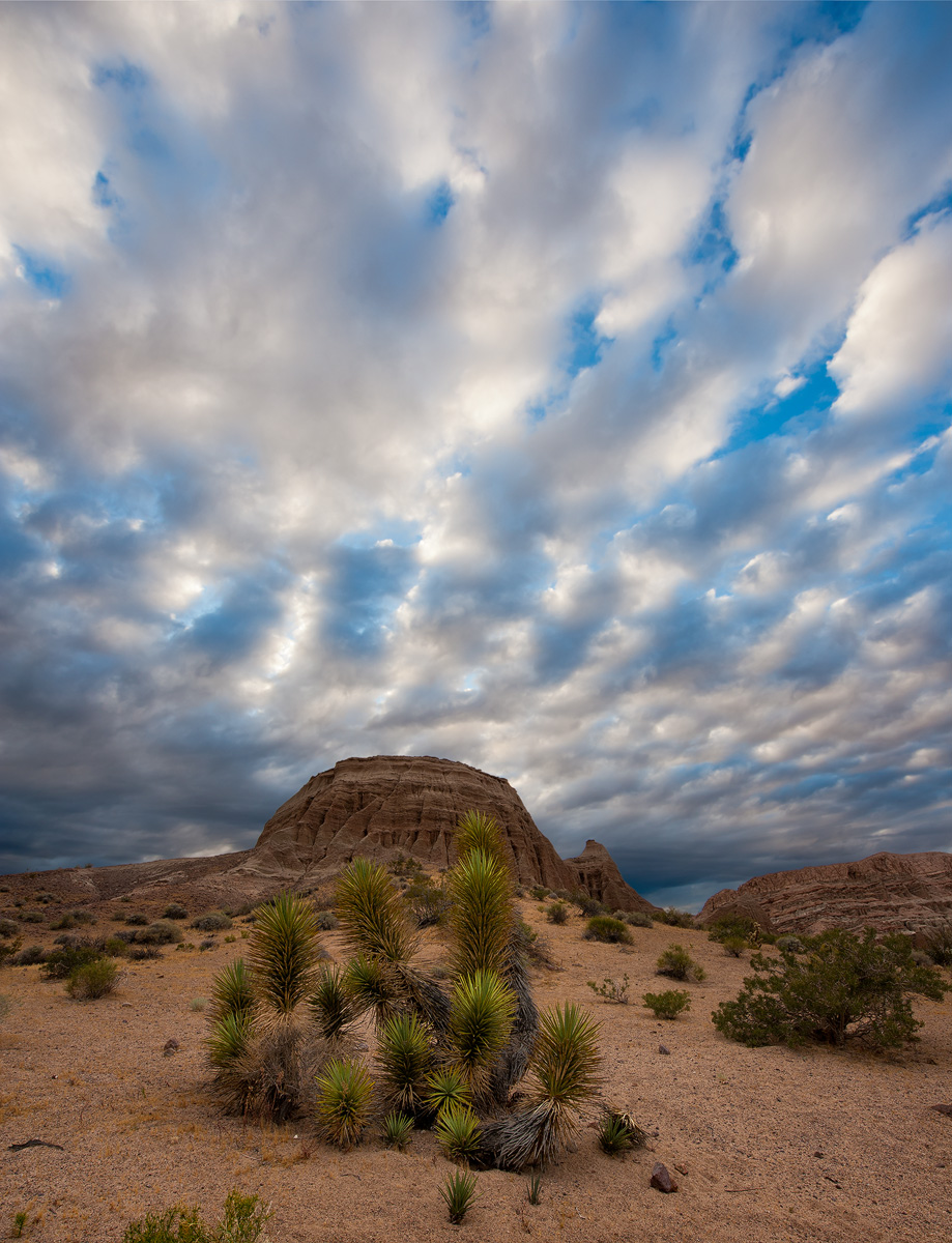 Altocumulus Over Mojave