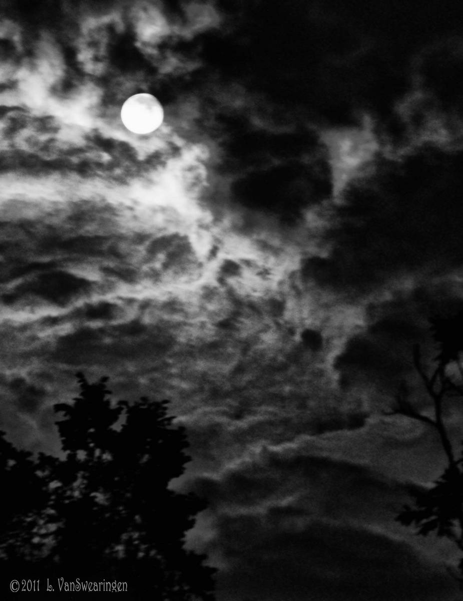 Moonlight Madness