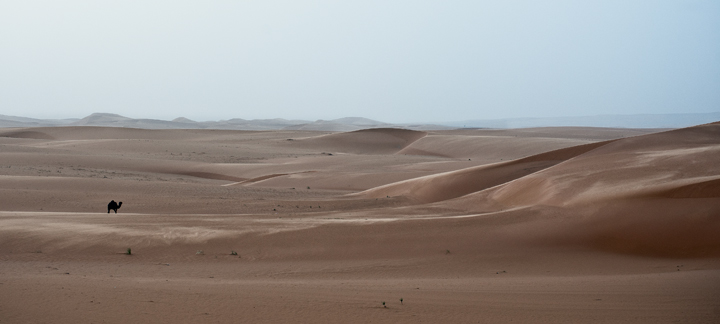Miracle of the Desert