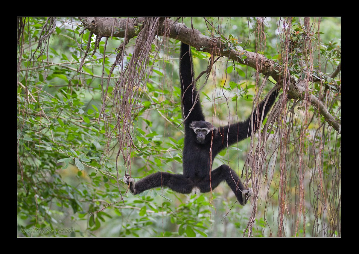 Hanging Around