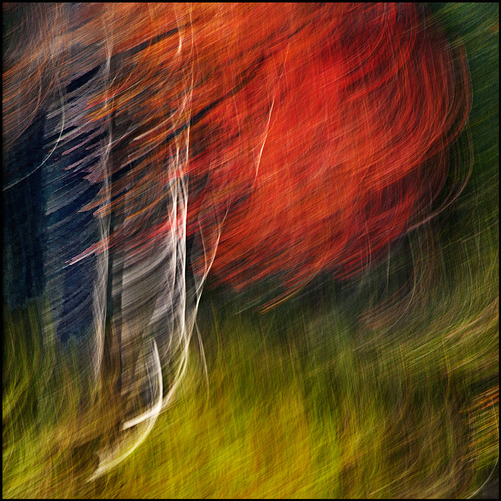 Color + World