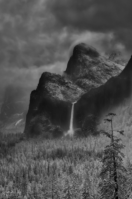 Bride's Misty Cathedral