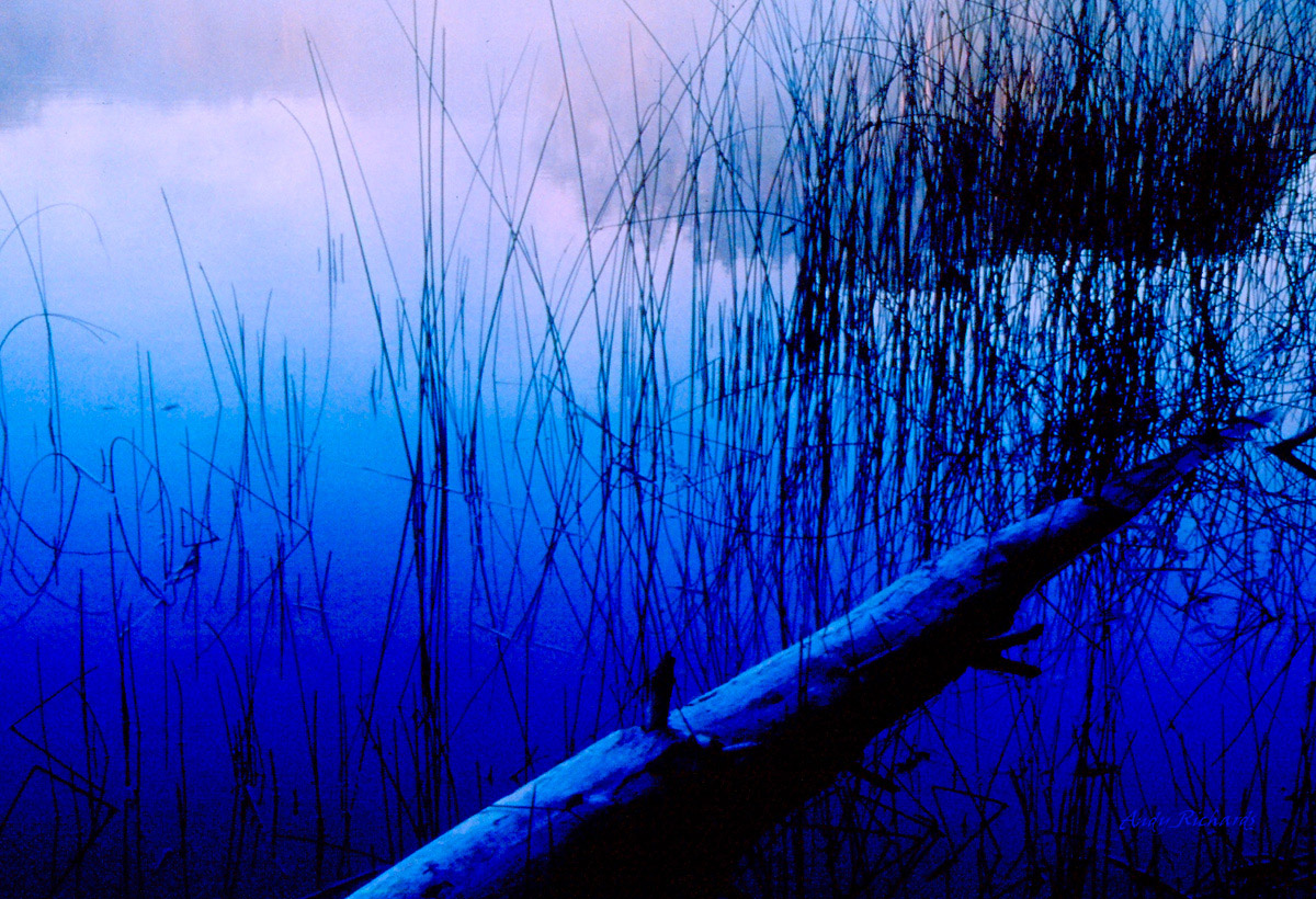 Horseshoe Lake
