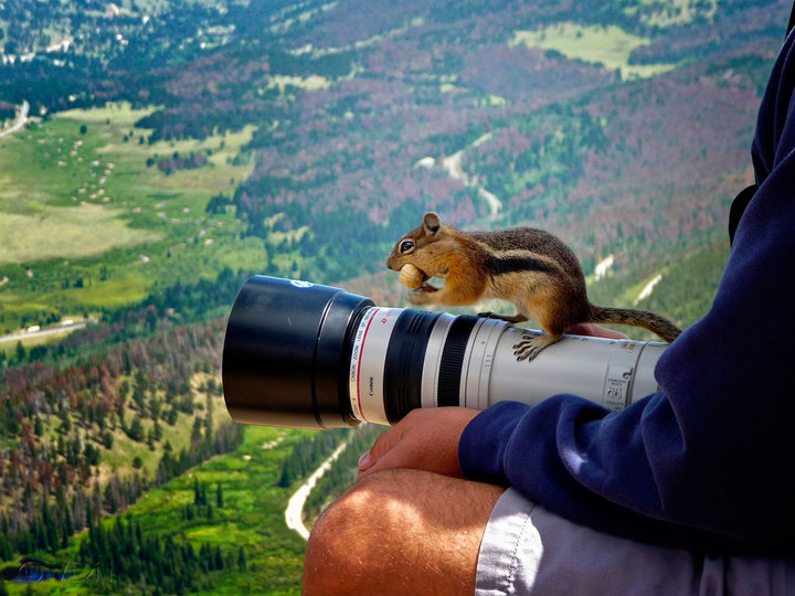 Man & Nature