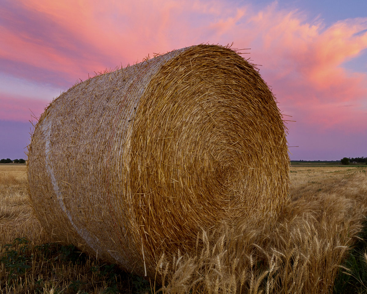 Sunset Round bale