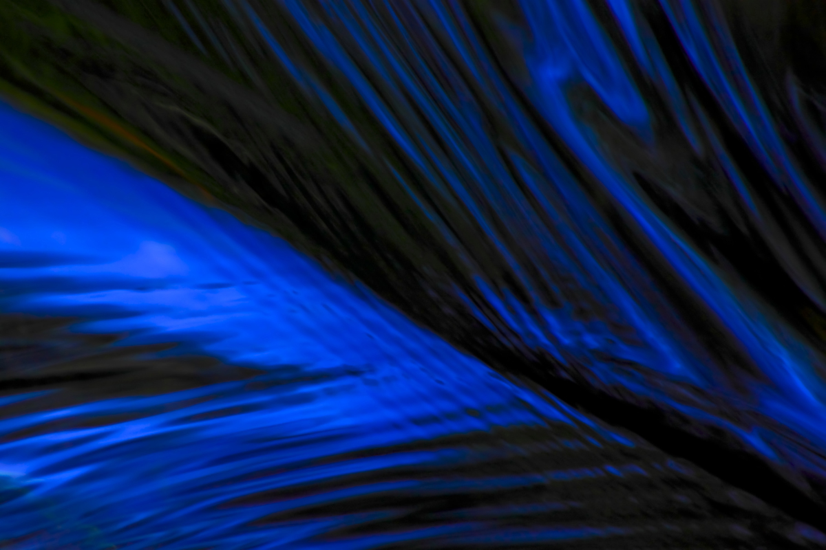 Blue Chevrons