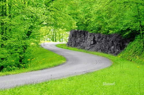 Winding Road