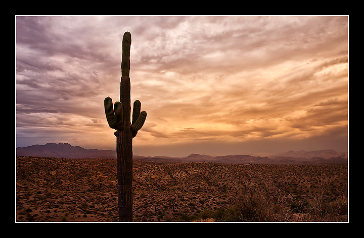 Monsoon Light + REPOST