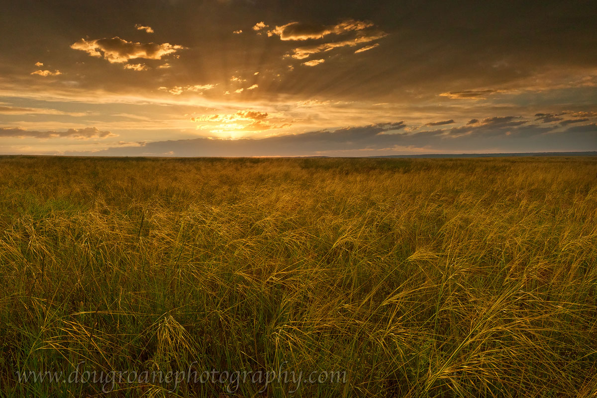 Home on the Range