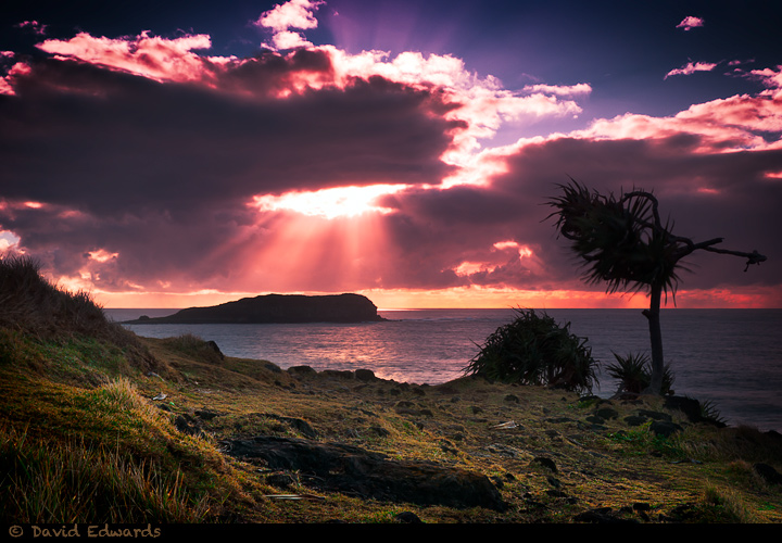 Dawn Sunbeams