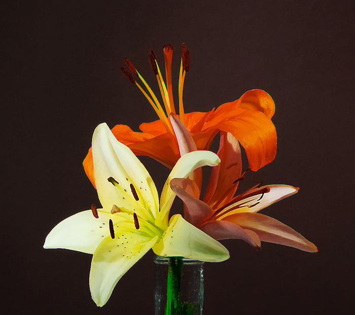 3 Lilies