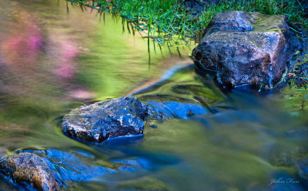 Reflection of Summer