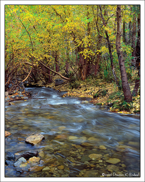 Big Pine Creek, Sierra