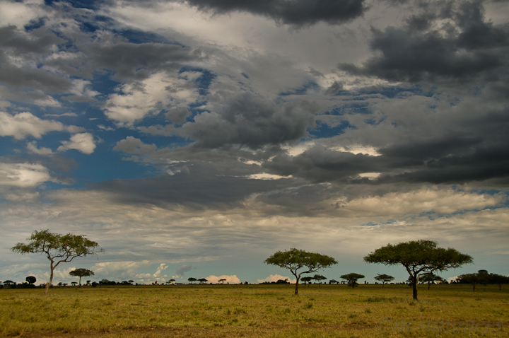 Vast Land