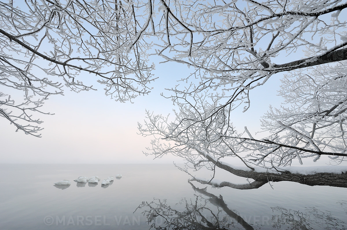 White Silence