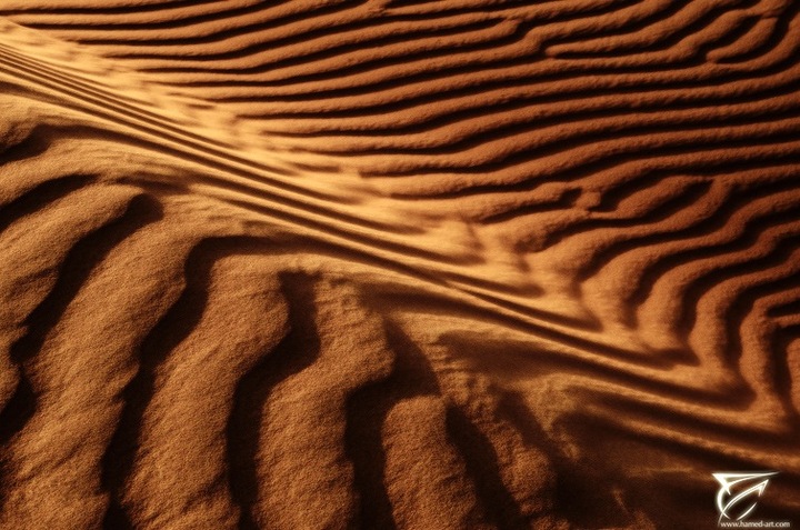 Curves