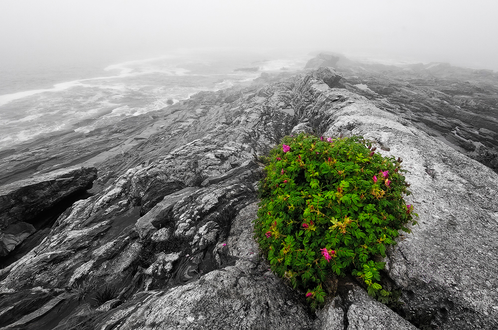 Pemaquid Point Sunrise