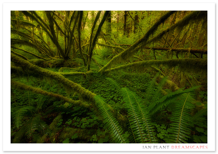 Land of the Lost (+ repost)