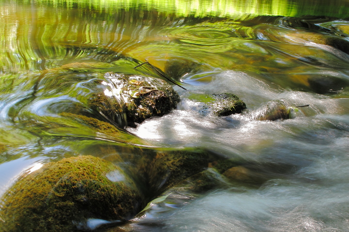 Flint River